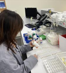 Co-op student working at a pharmacy.